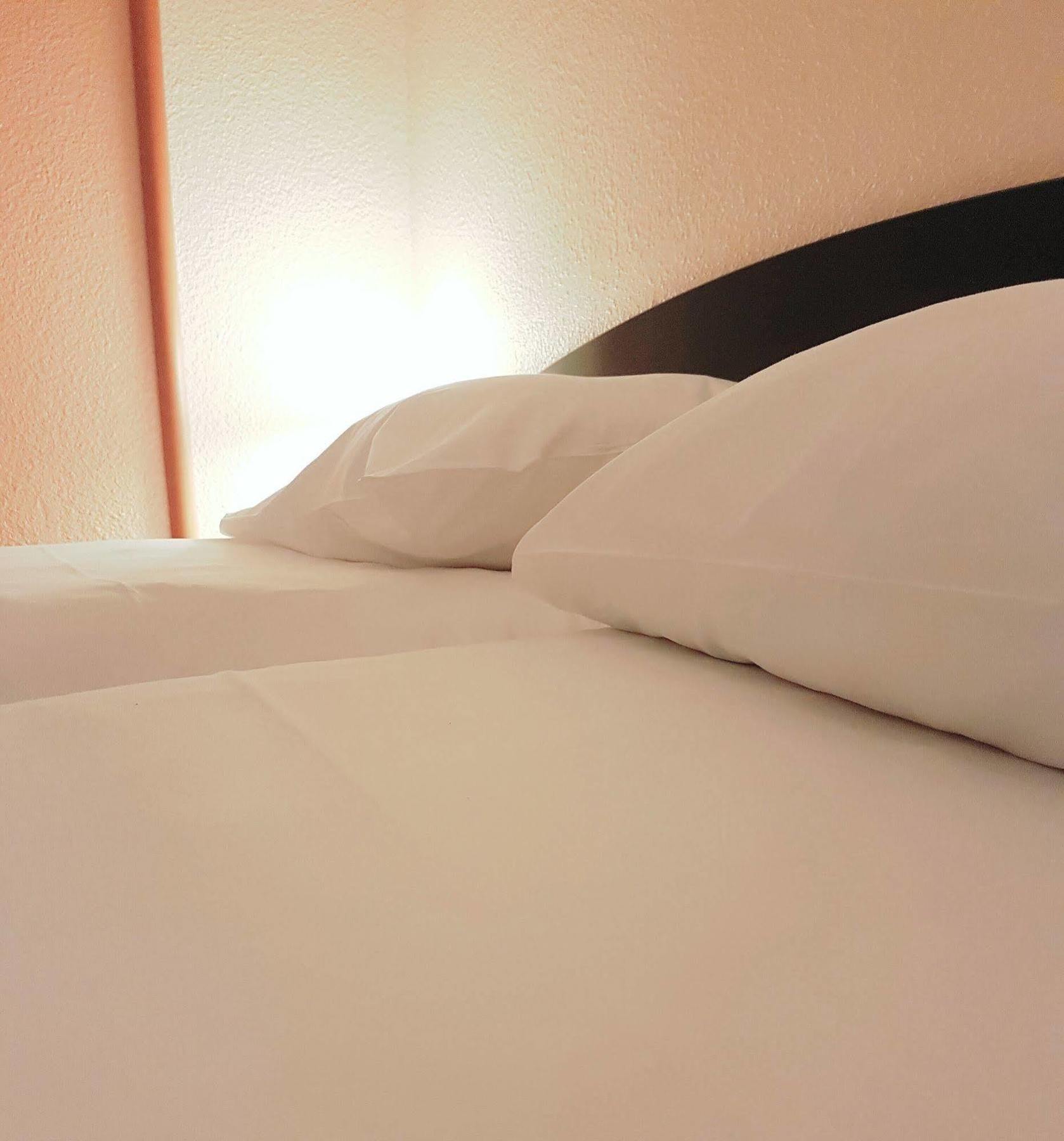 Ibis Archamps Porte De Geneve Eksteriør billede